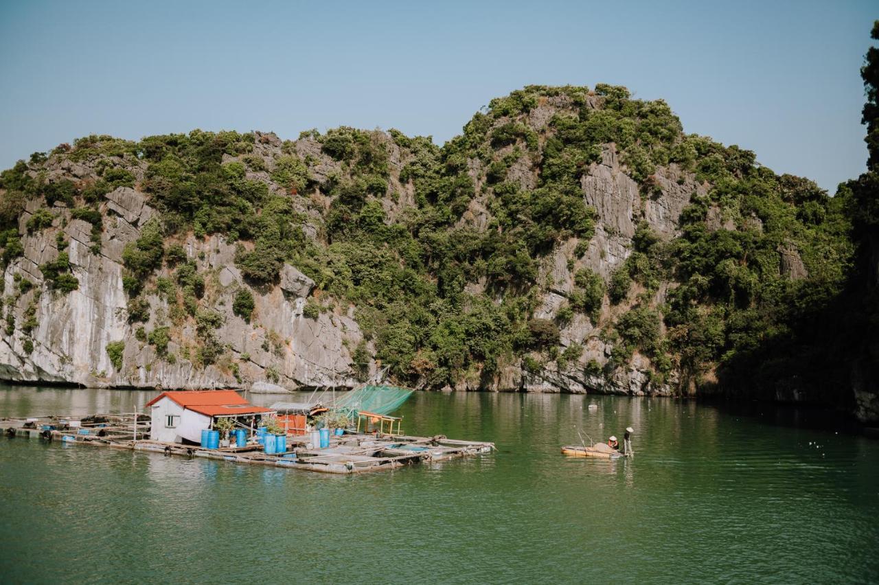 Hotel Cat Ba Bay Cruises Dong Khe Sau Exteriér fotografie